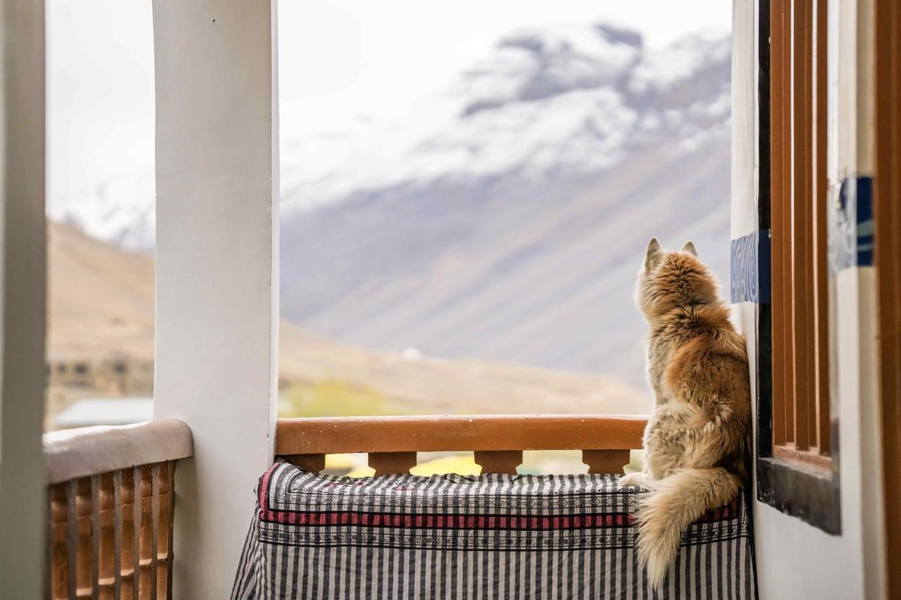 Zostel Spiti Vandrerhjem Kaza Eksteriør bilde